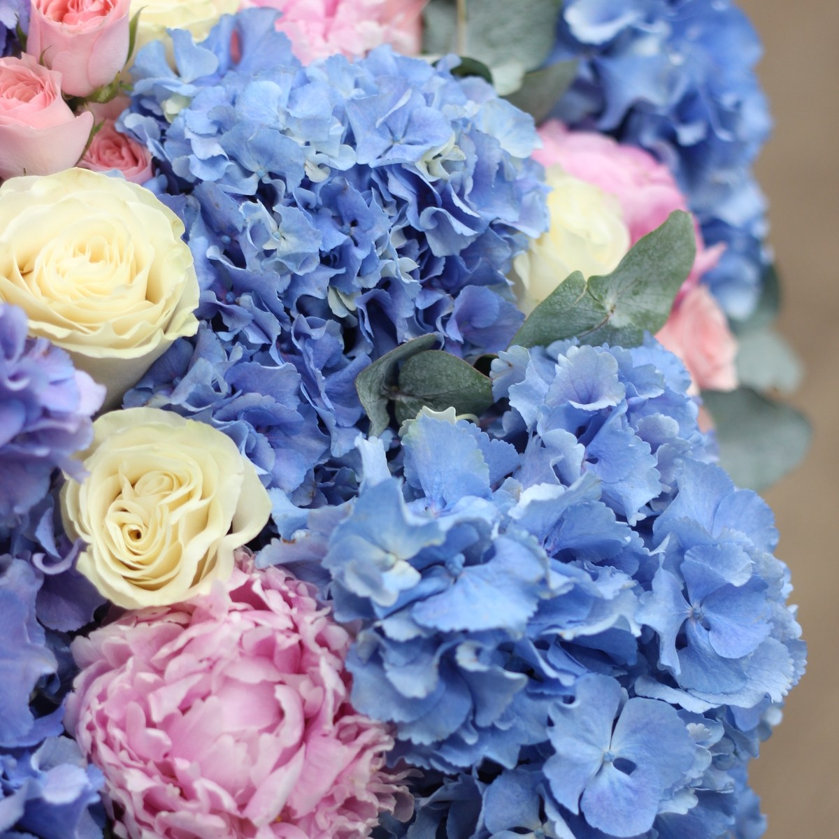 Premium korobka s rozami i gortenziej 589